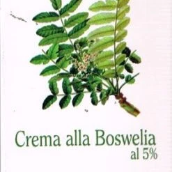 NATUR FARMA Raihuen Crema Alla Boswelia Al 5% Benessere Delle Articolazioni 100 Ml